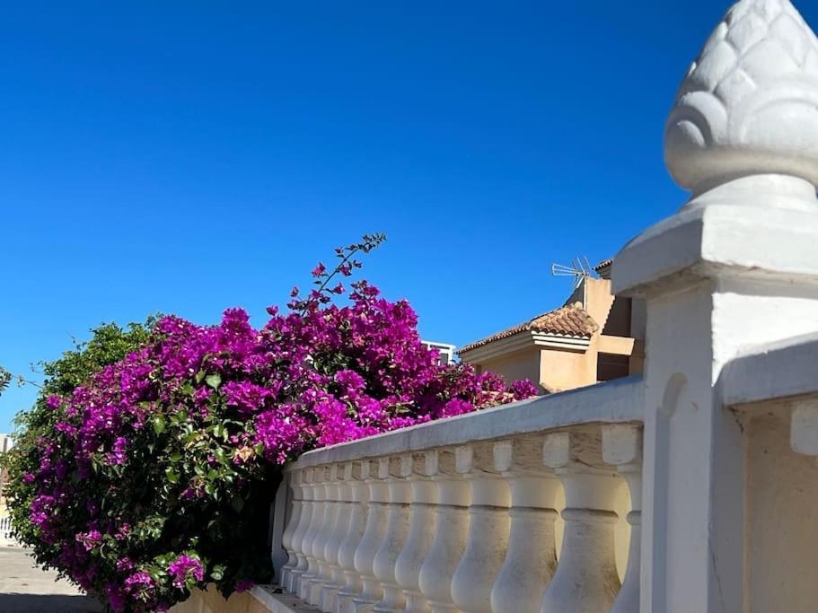 Club Salino 18 Apartamento Torrevieja Exterior foto